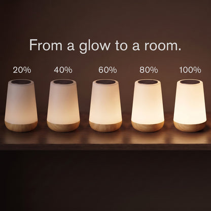 The Zaunder Glow Lamp