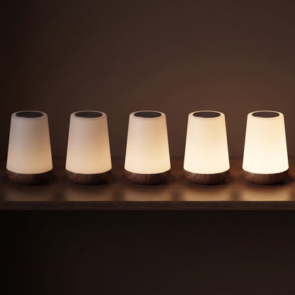The Zaunder Glow Lamp